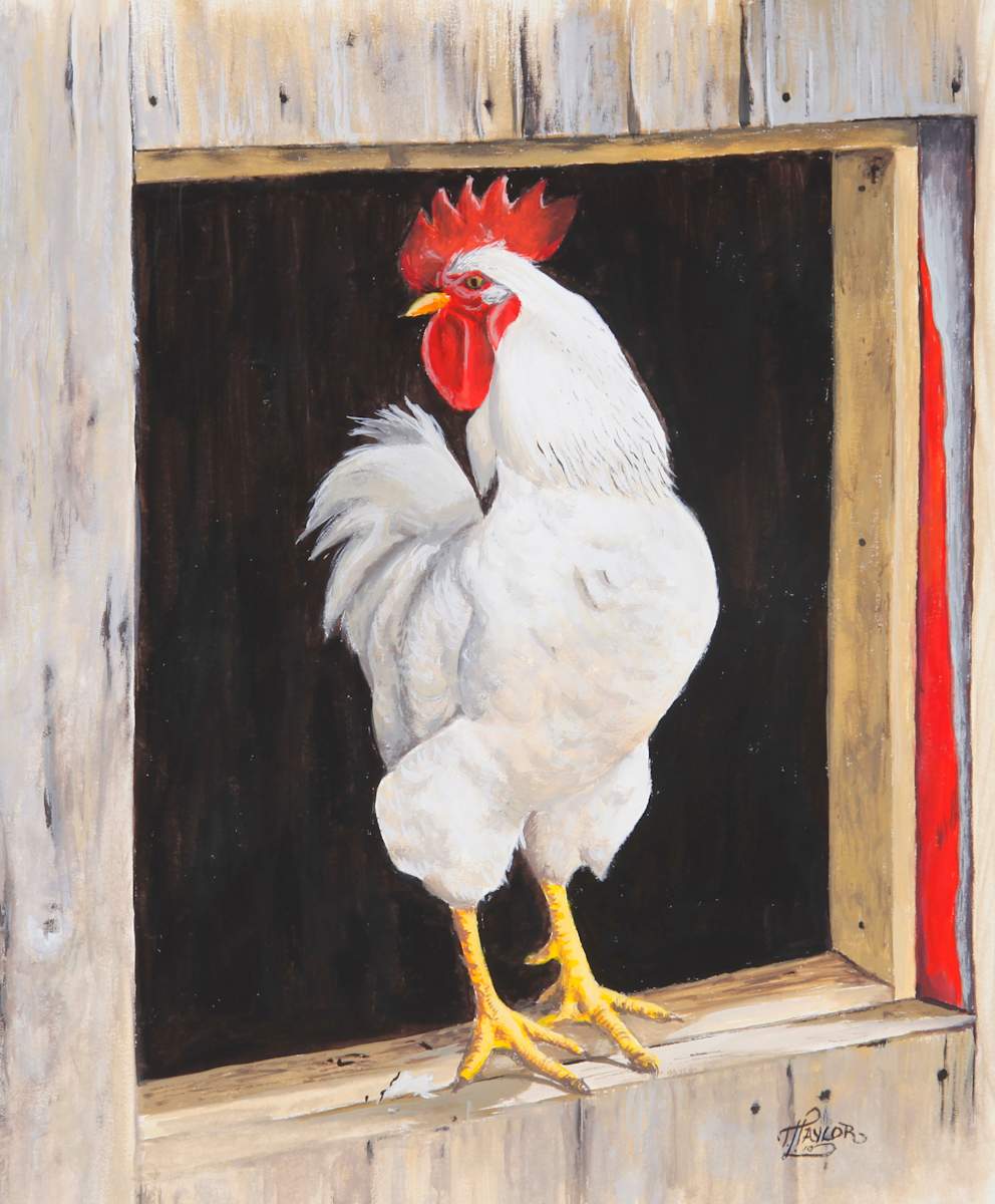 Wake Up Call by Tammy Taylor, Image 1.