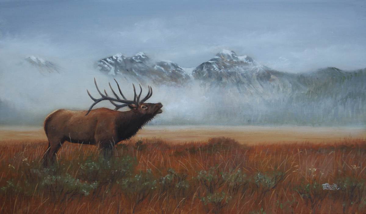 The Call by Tammy Taylor, Image 1.