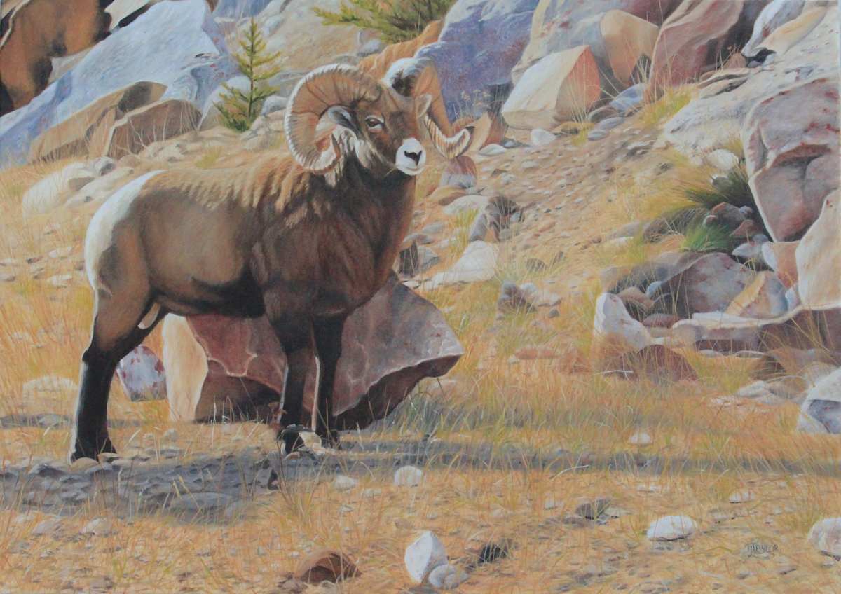 The Resident Climber by Tammy Taylor, Image 1.