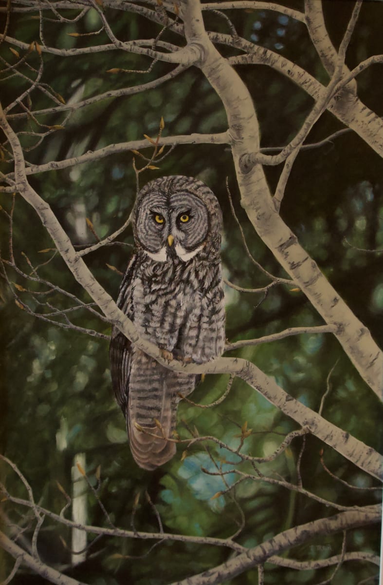 Watchful, Image 1.