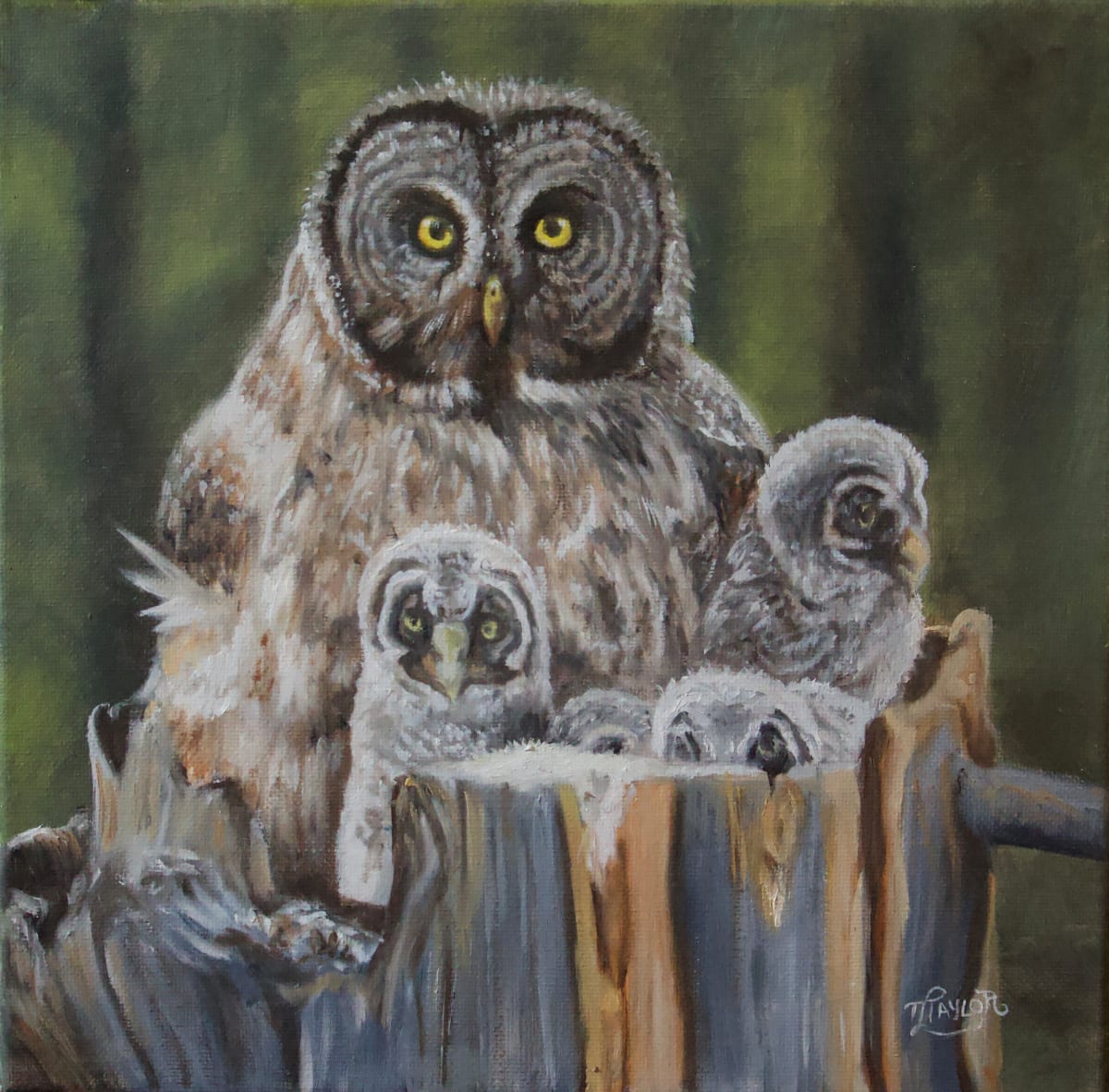 The Owl Family by Tammy Taylor 