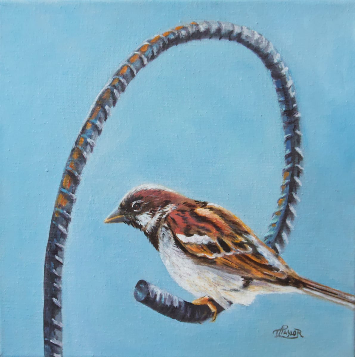 The Perch by Tammy Taylor, Image 1.