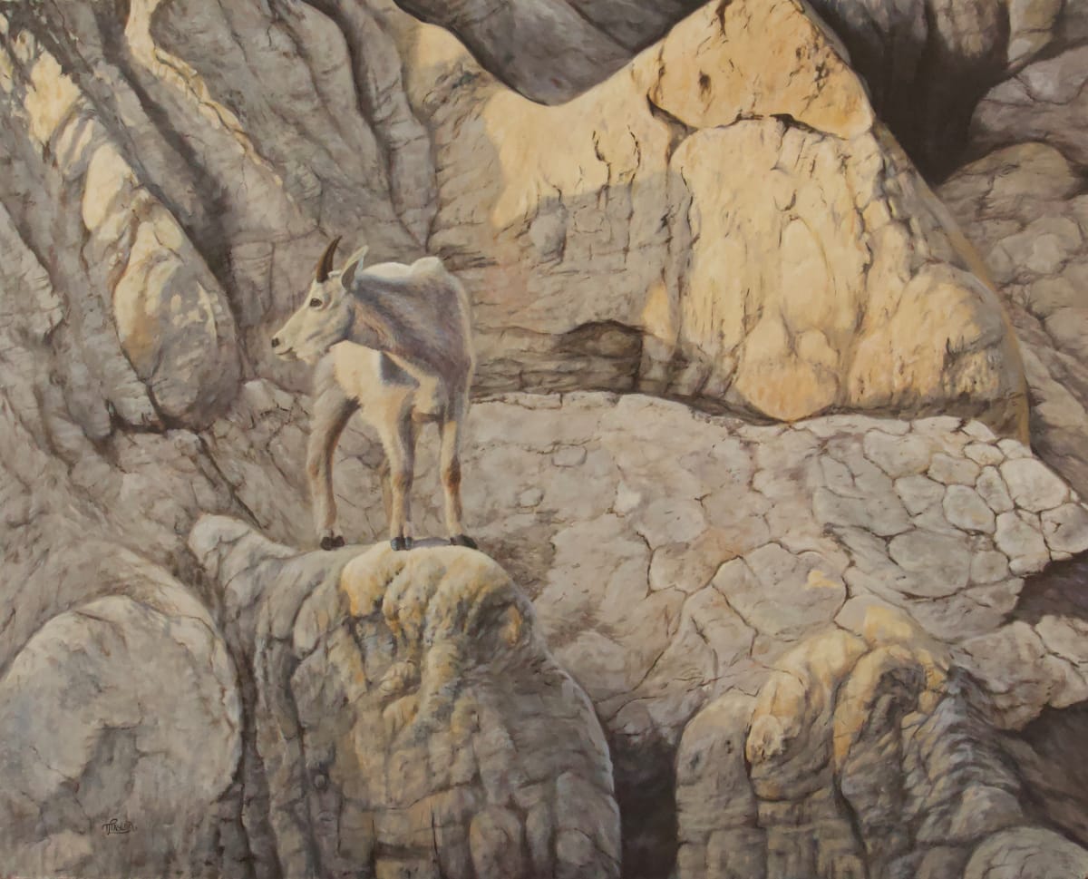 Lingering In The Light by Tammy Taylor, Image 1.