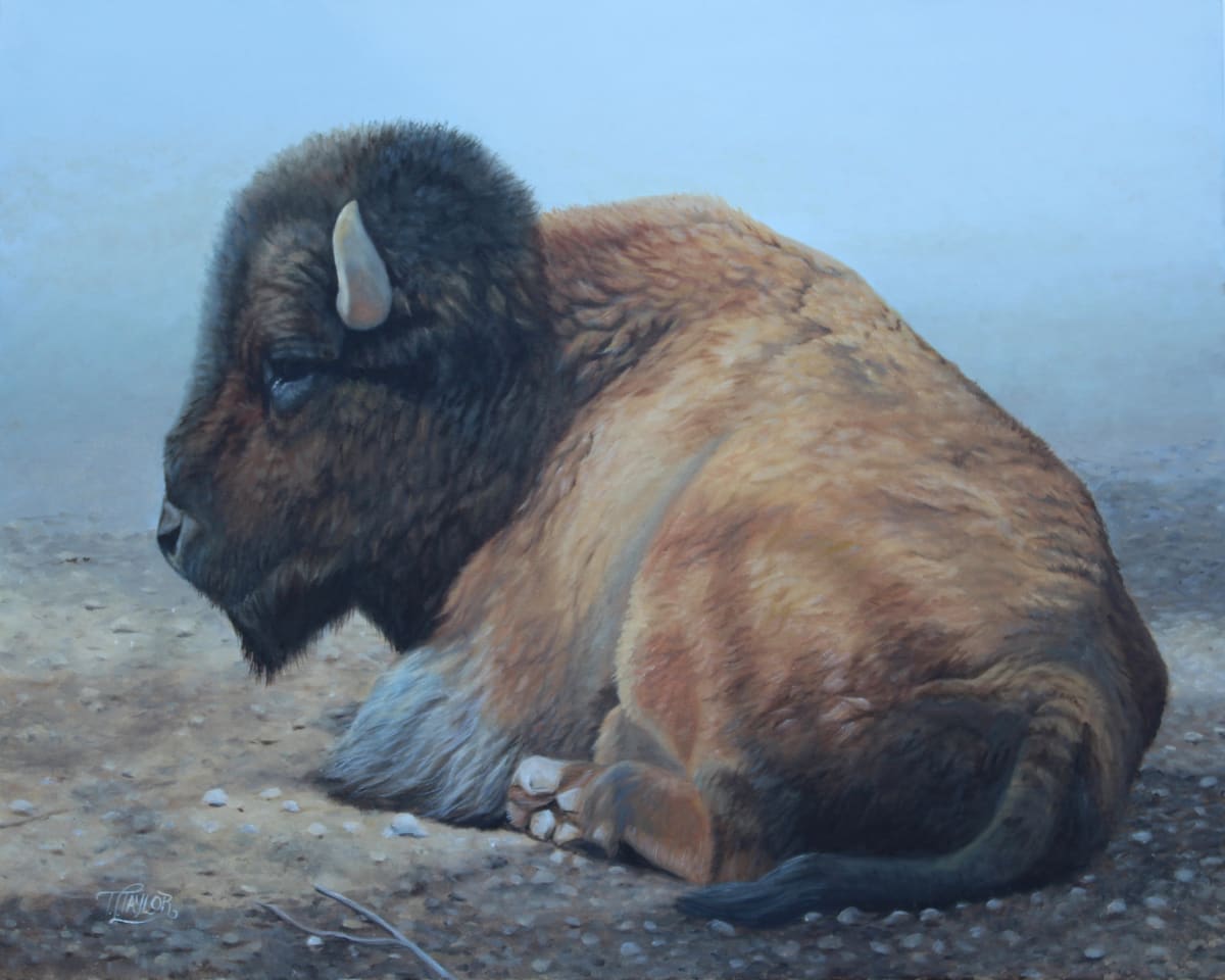 Tatanka by Tammy Taylor, Image 1.