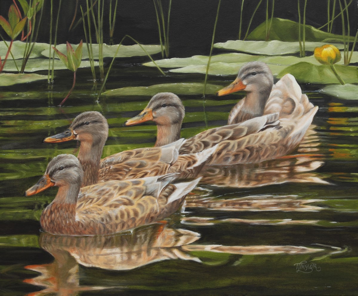 Got My Ducks In A Row by Tammy Taylor, Image 1.