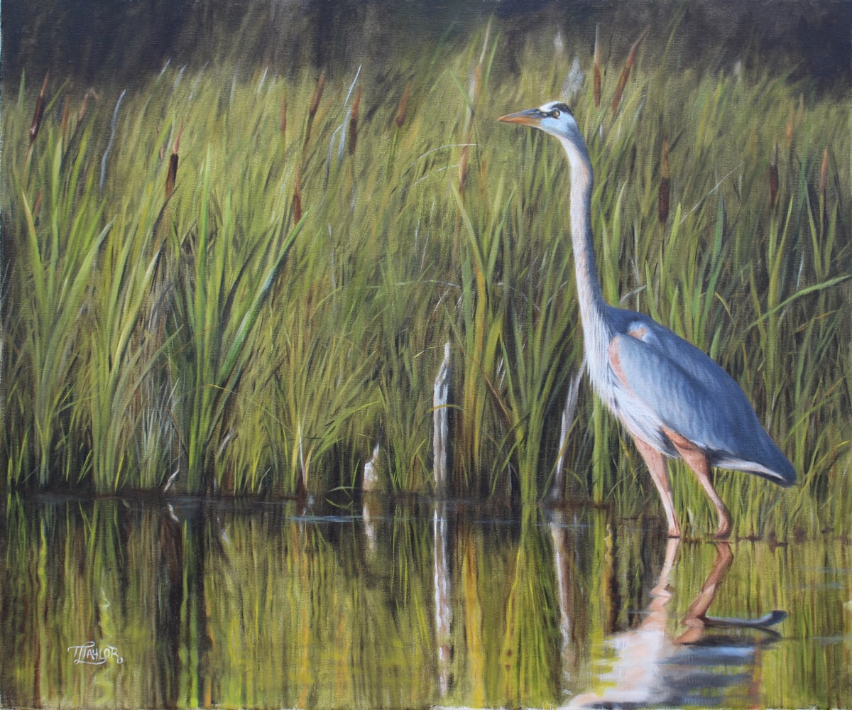 Stately Grace by Tammy Taylor, Image 1.