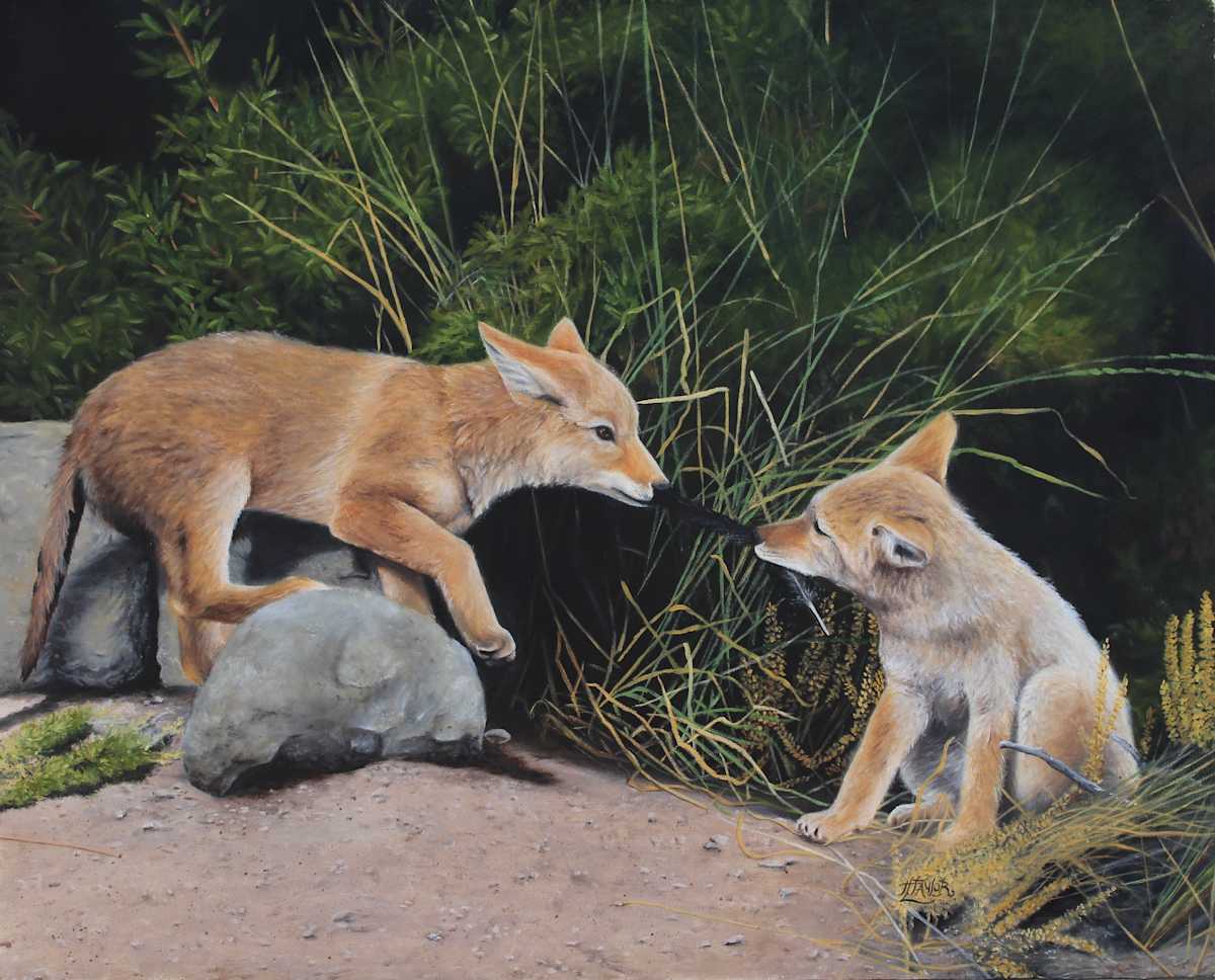 Sibling Rivalry by Tammy Taylor, Image 1.