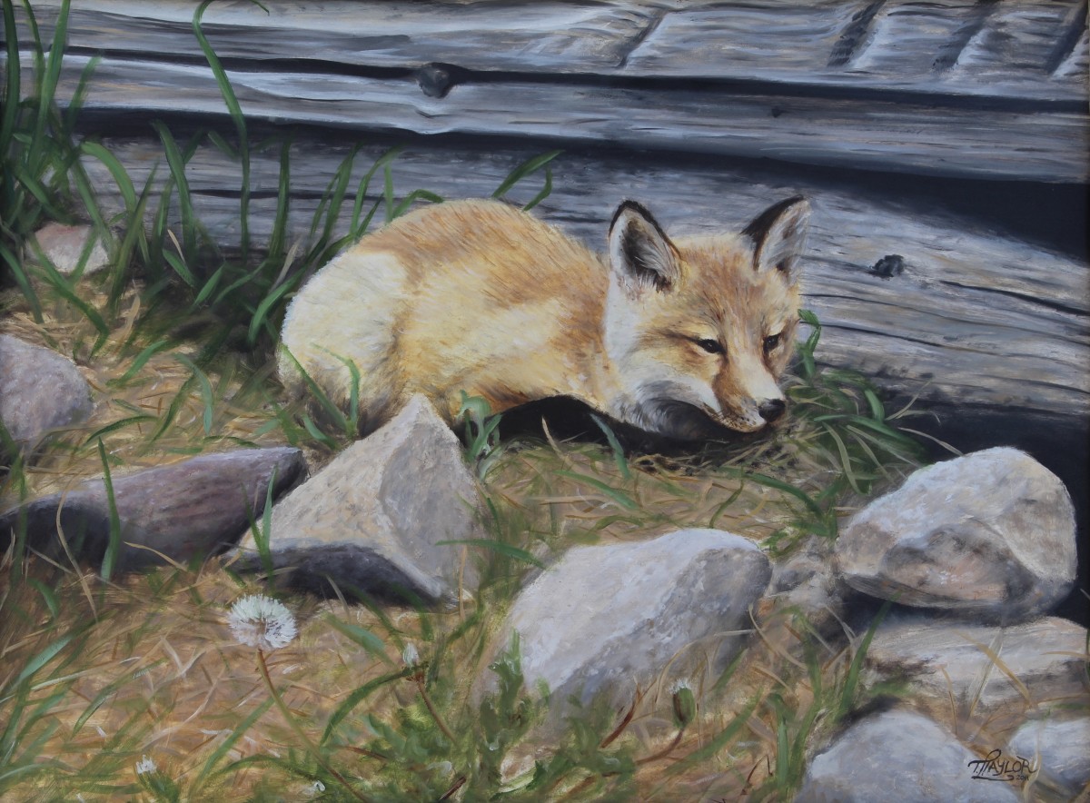 By The Den by Tammy Taylor 