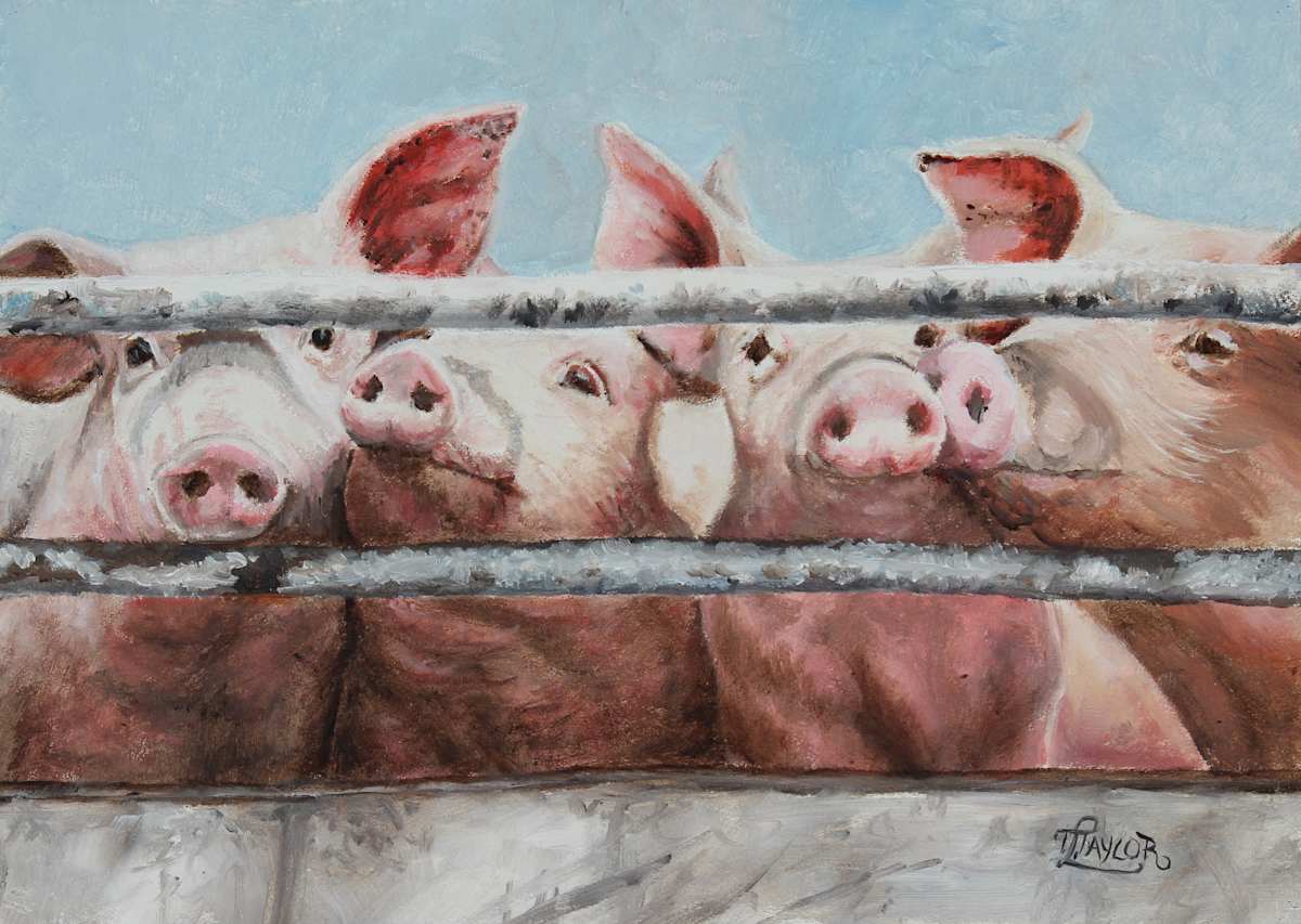 Feeder Friends by Tammy Taylor, Image 1.