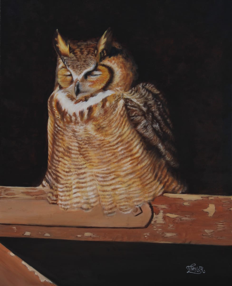 The Resting Spot by Tammy Taylor, Image 1.