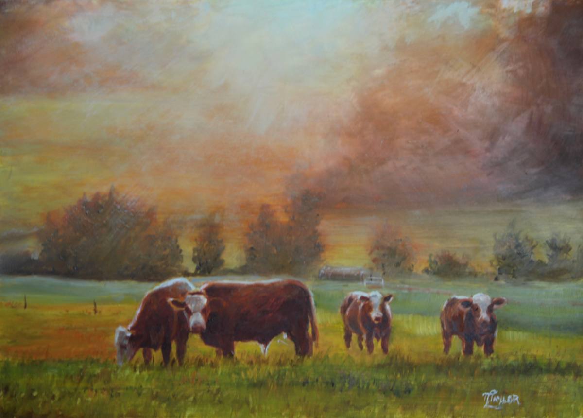 Sunrise On The Pastures by Tammy Taylor, Image 1.