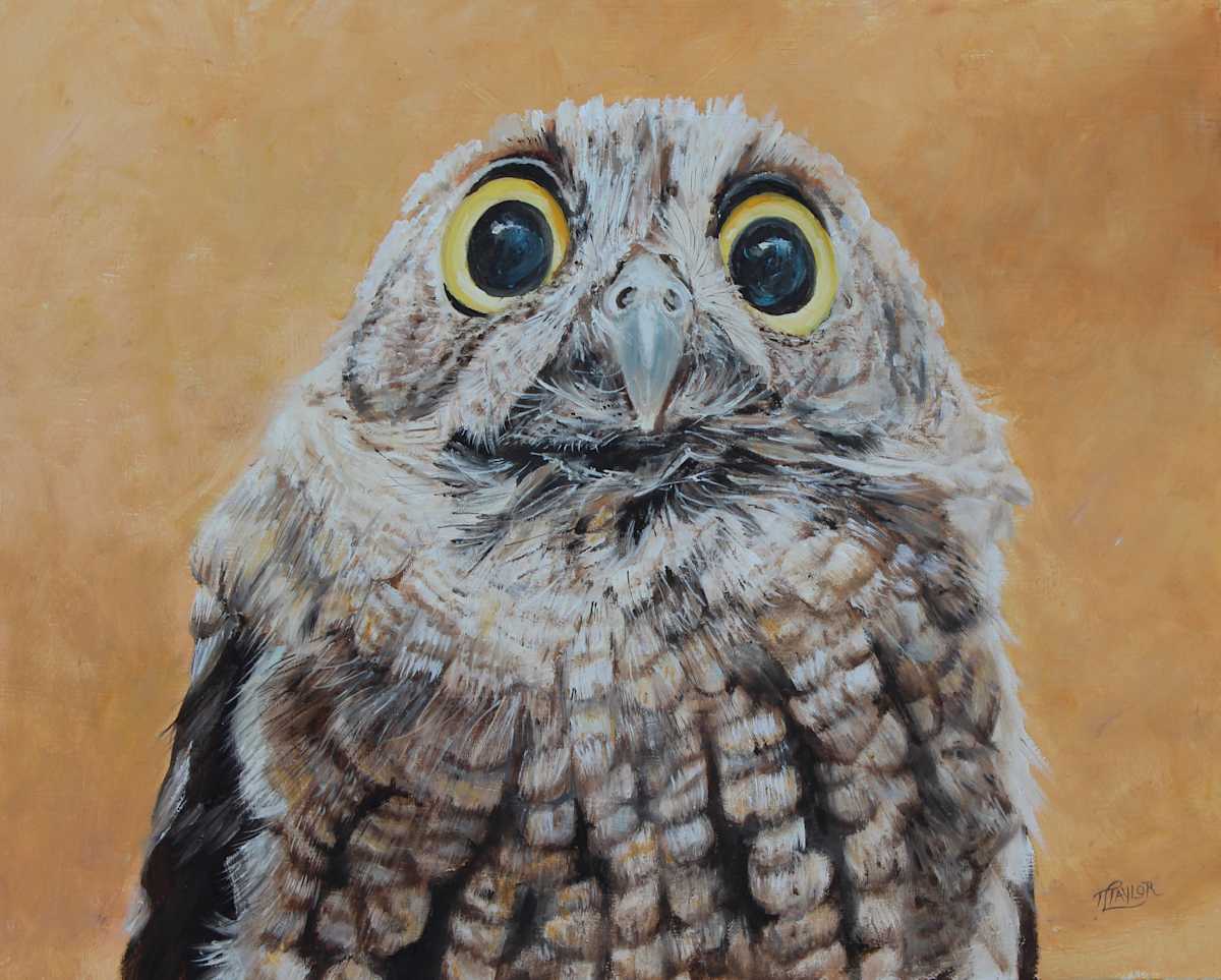 W-H-A-A-T? by Tammy Taylor, Image 1.