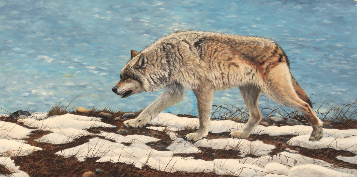 On The Prowl by Tammy Taylor, Image 1.