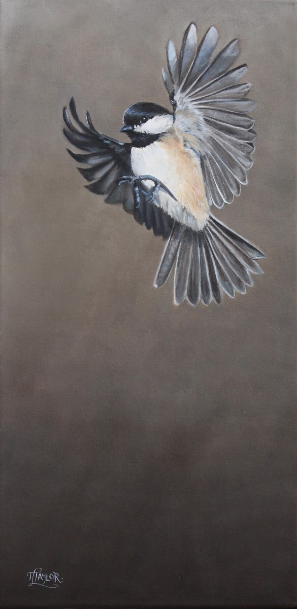 Free Bird by Tammy Taylor 