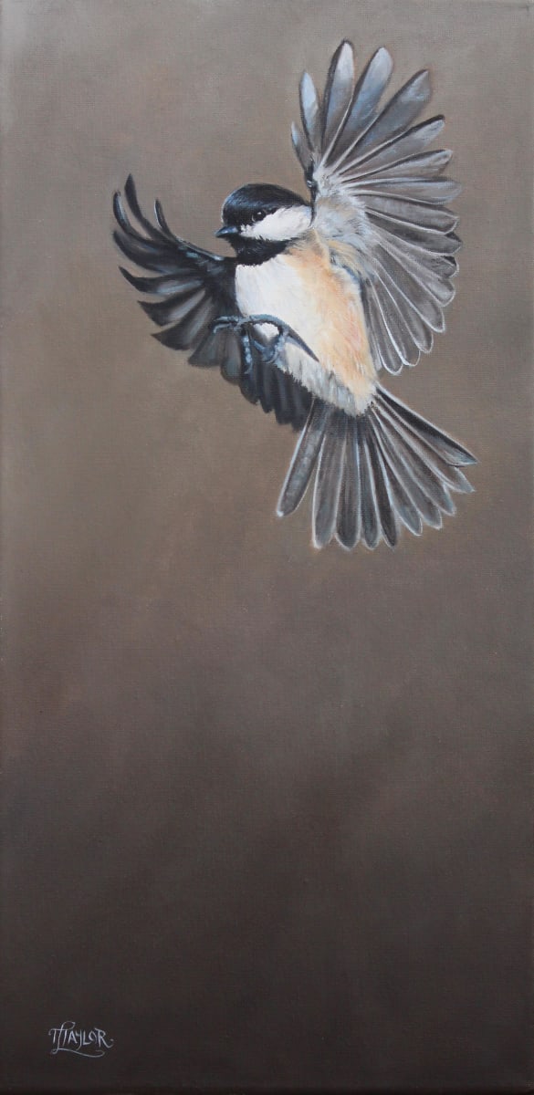 Free Bird by Tammy Taylor, Image 1.