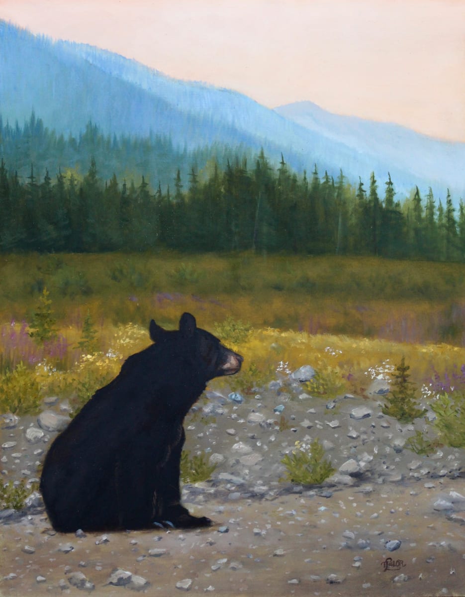 Late Day Musings by Tammy Taylor, Image 1.
