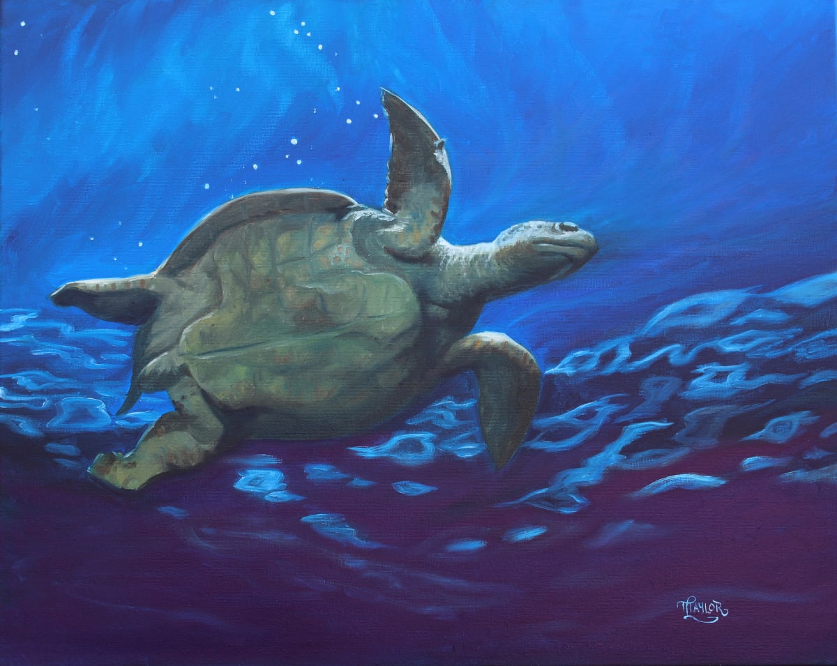 Turtle Study by Tammy Taylor 