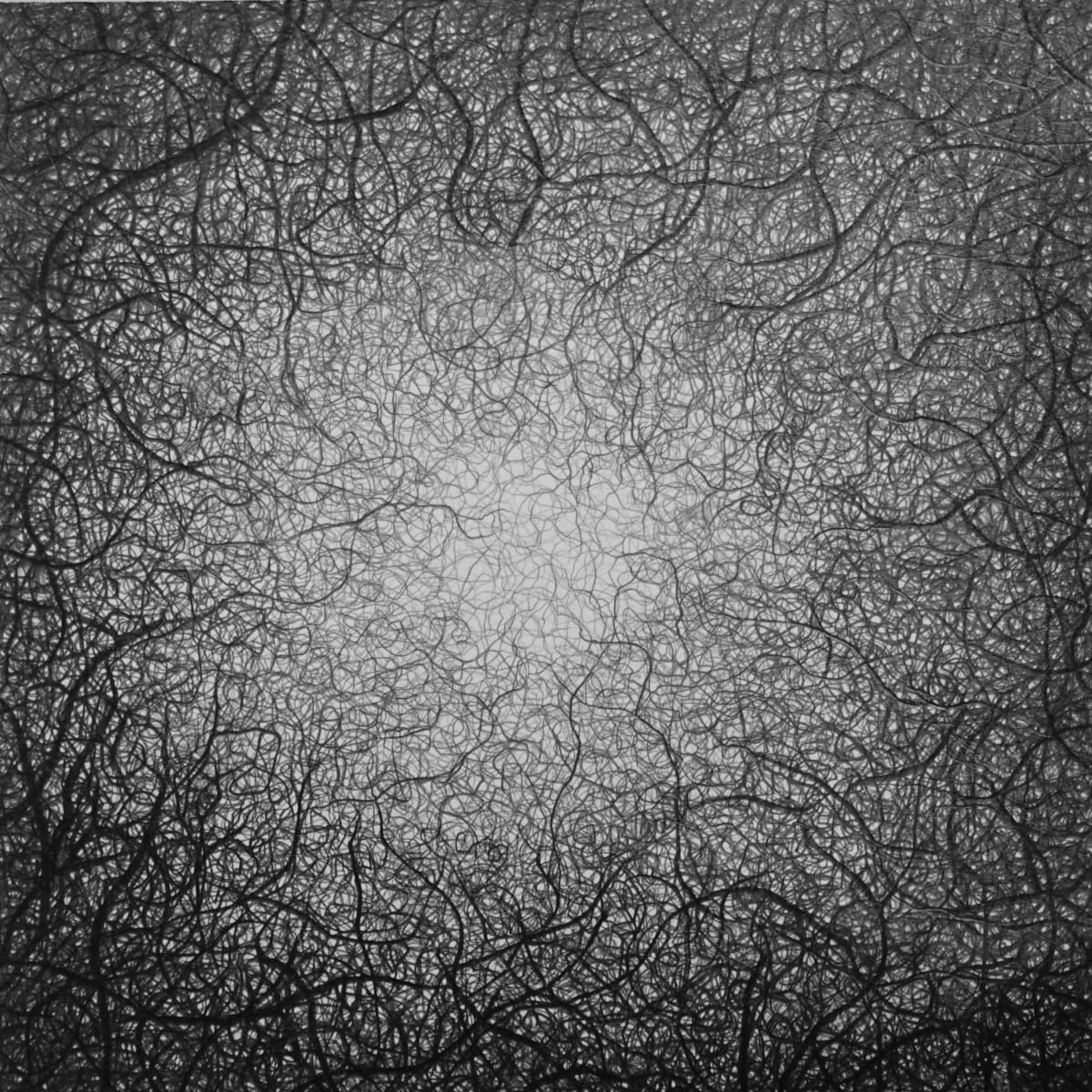 FIND drawing by Judi Tavill, Image 2.