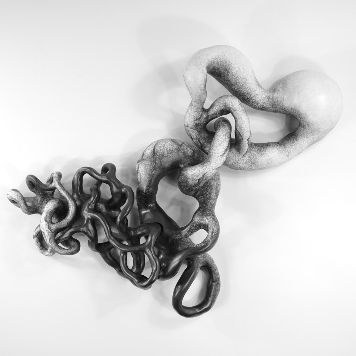 ENCOUNTER by Judi Tavill, Image 2.