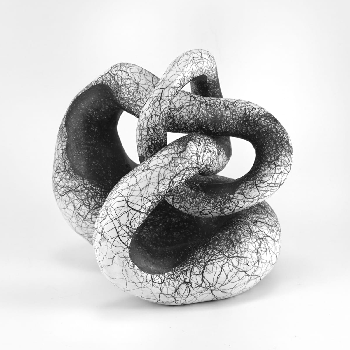 ENTWIX by Judi Tavill 