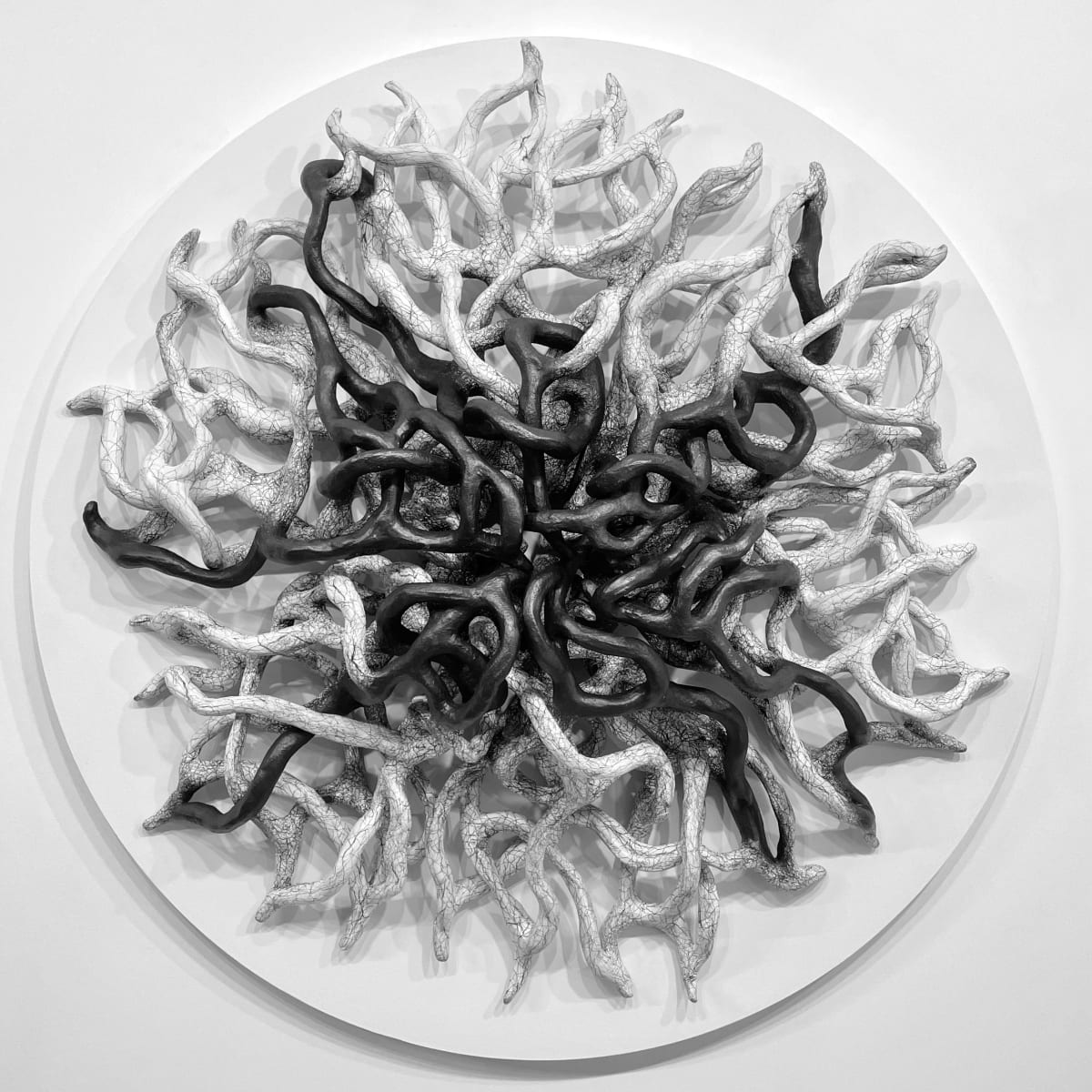PRESERVE by Judi Tavill 