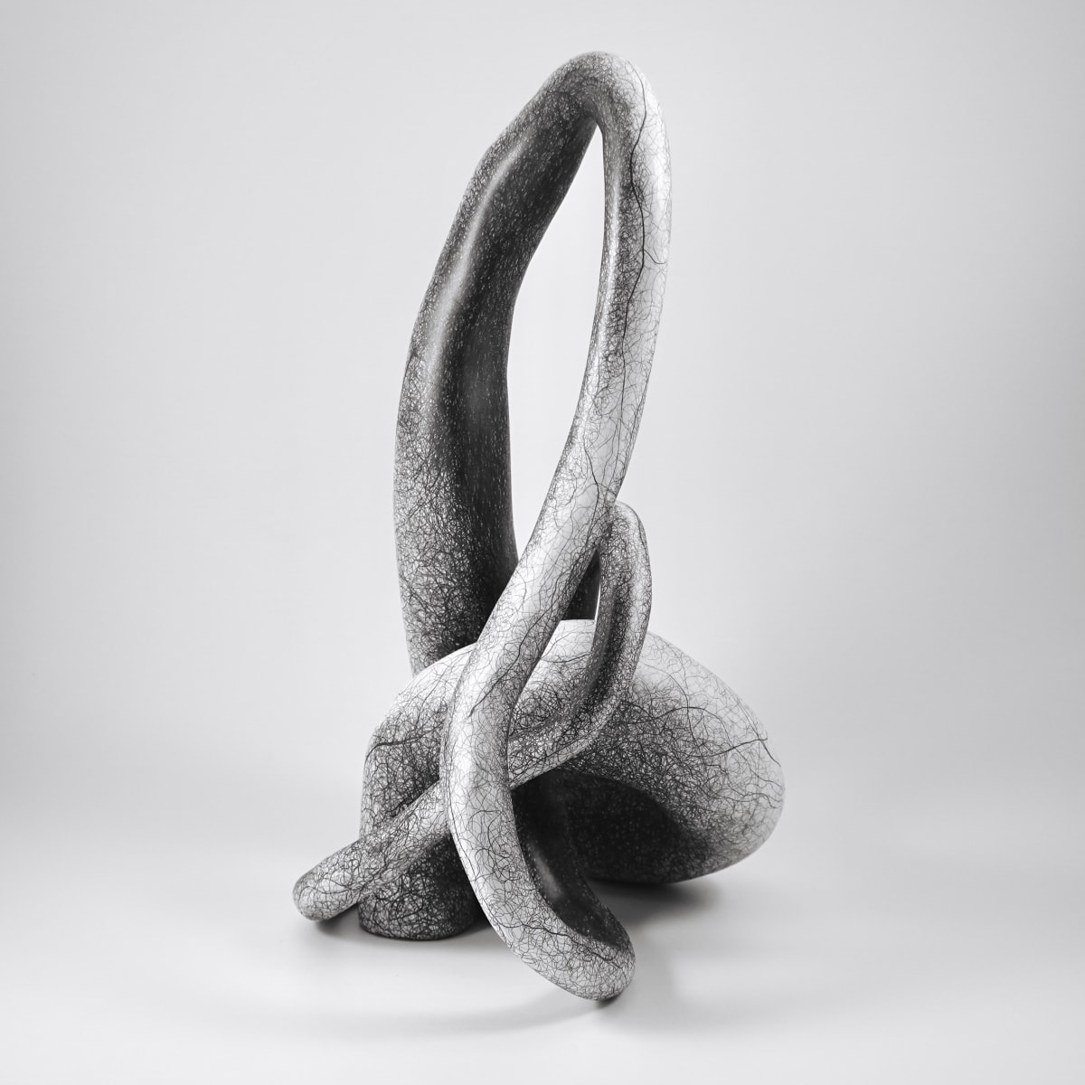 RESERVE by Judi Tavill, Image 2.