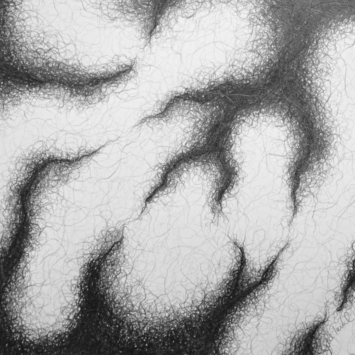 SPREAD drawing by Judi Tavill, Image 2.