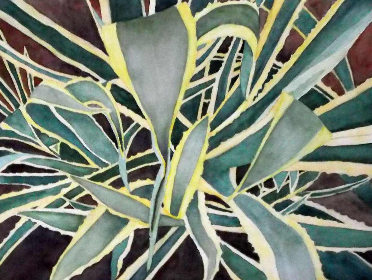 Agave Ribbons by Janine Wilson, Image 1.