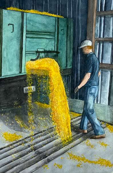 Corn - Midwest Gold by Janine Wilson, Image 1.