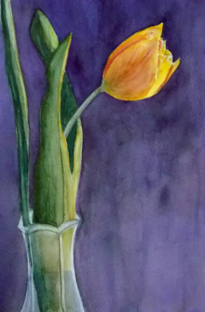 Reaching for the Light by Janine Wilson 