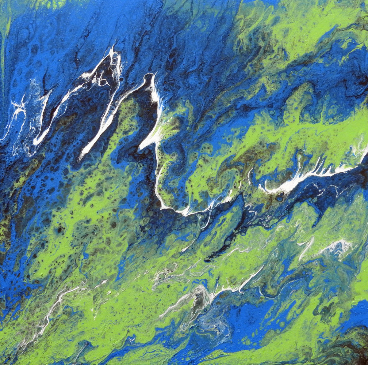 Rising Sea by Janine Wilson 