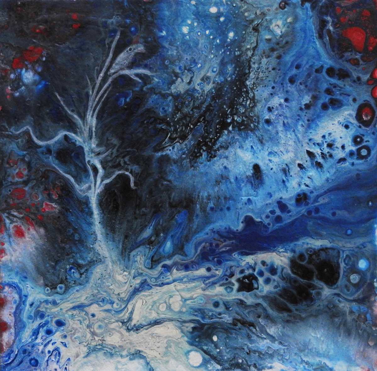 Snowy Starry Night by Janine Wilson, Image 1.