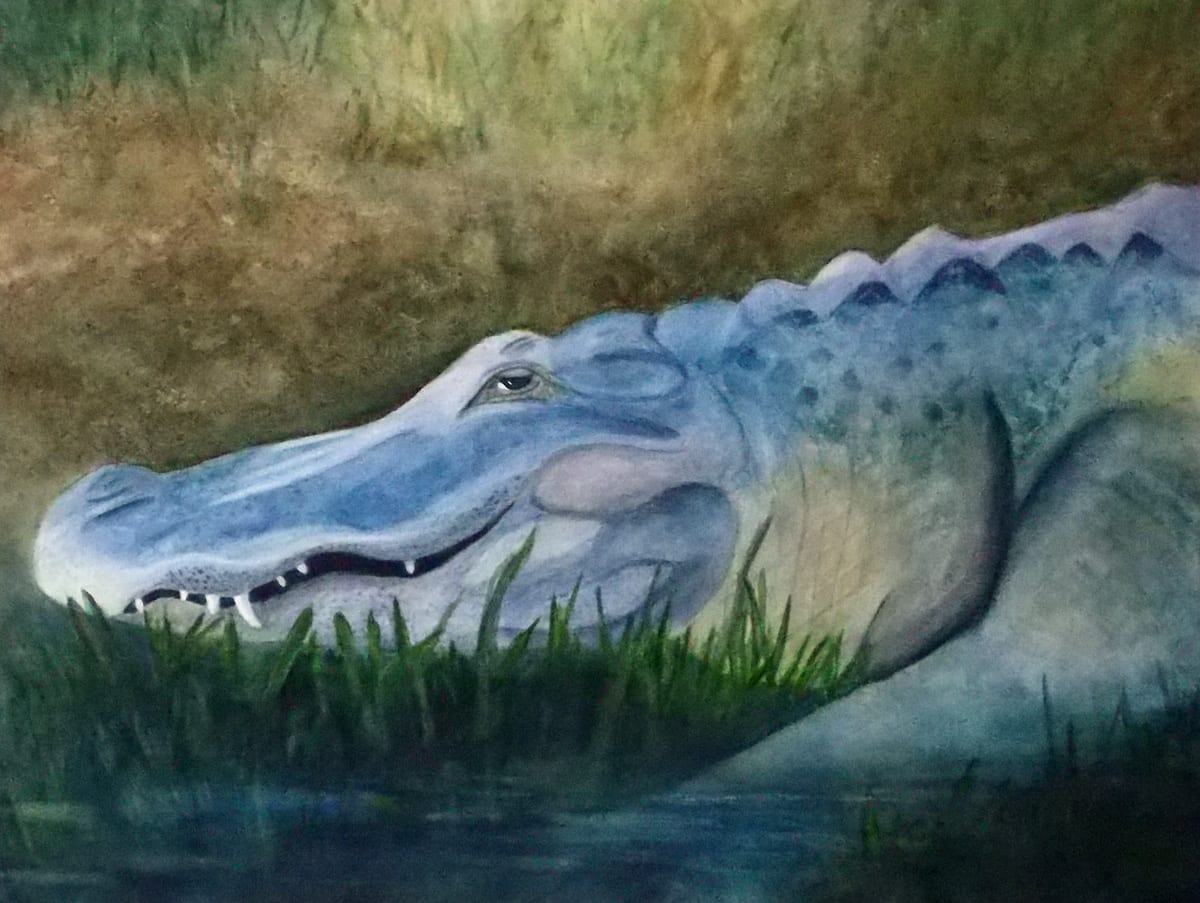 Swamp Grin by Janine Wilson 