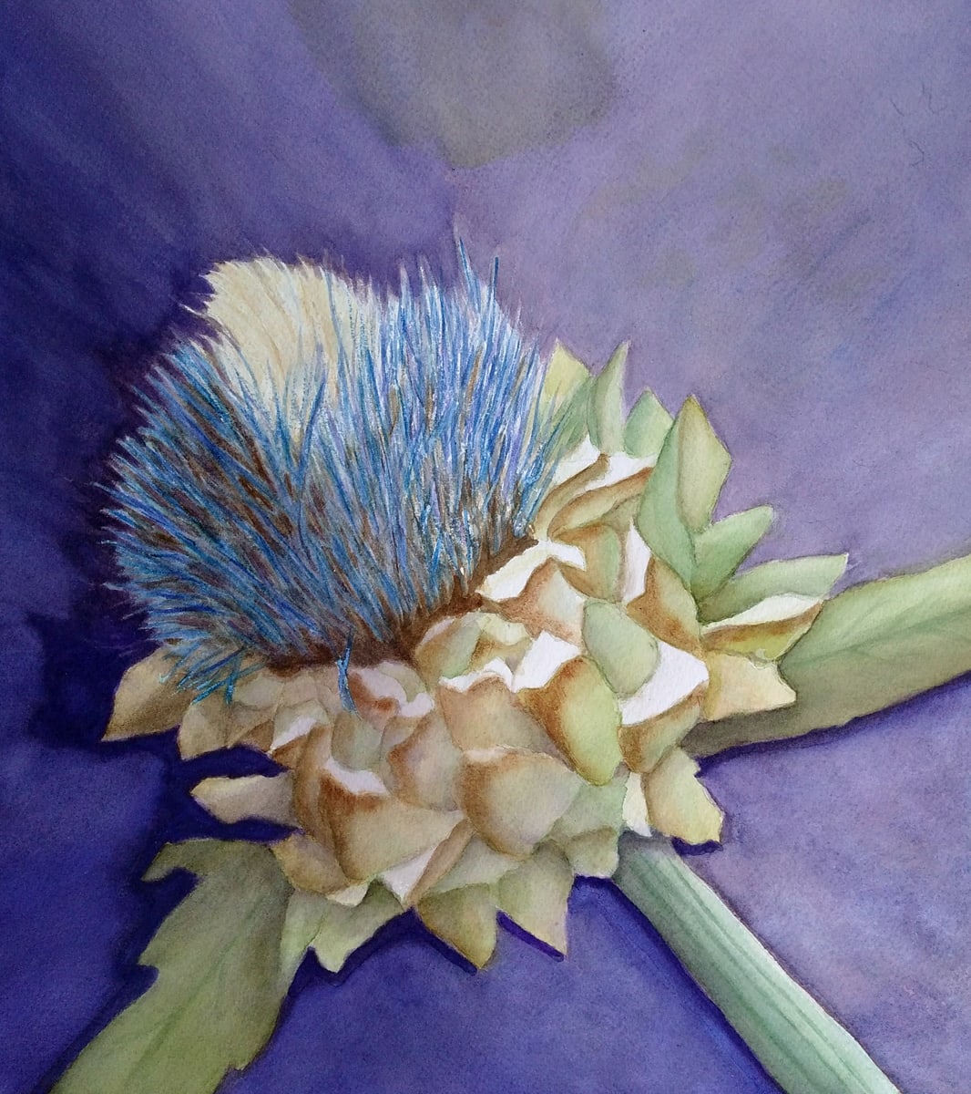 Artichoke by Janine Wilson 