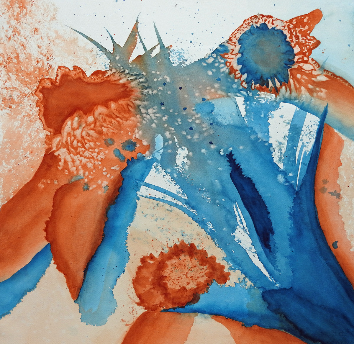 Floral Explosion by Janine Wilson 