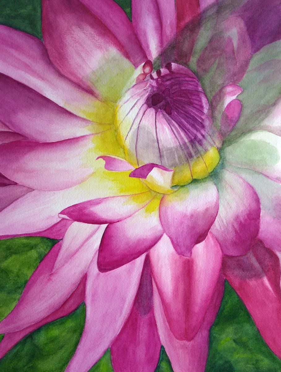 Dazzling Dahlia by Janine Wilson 