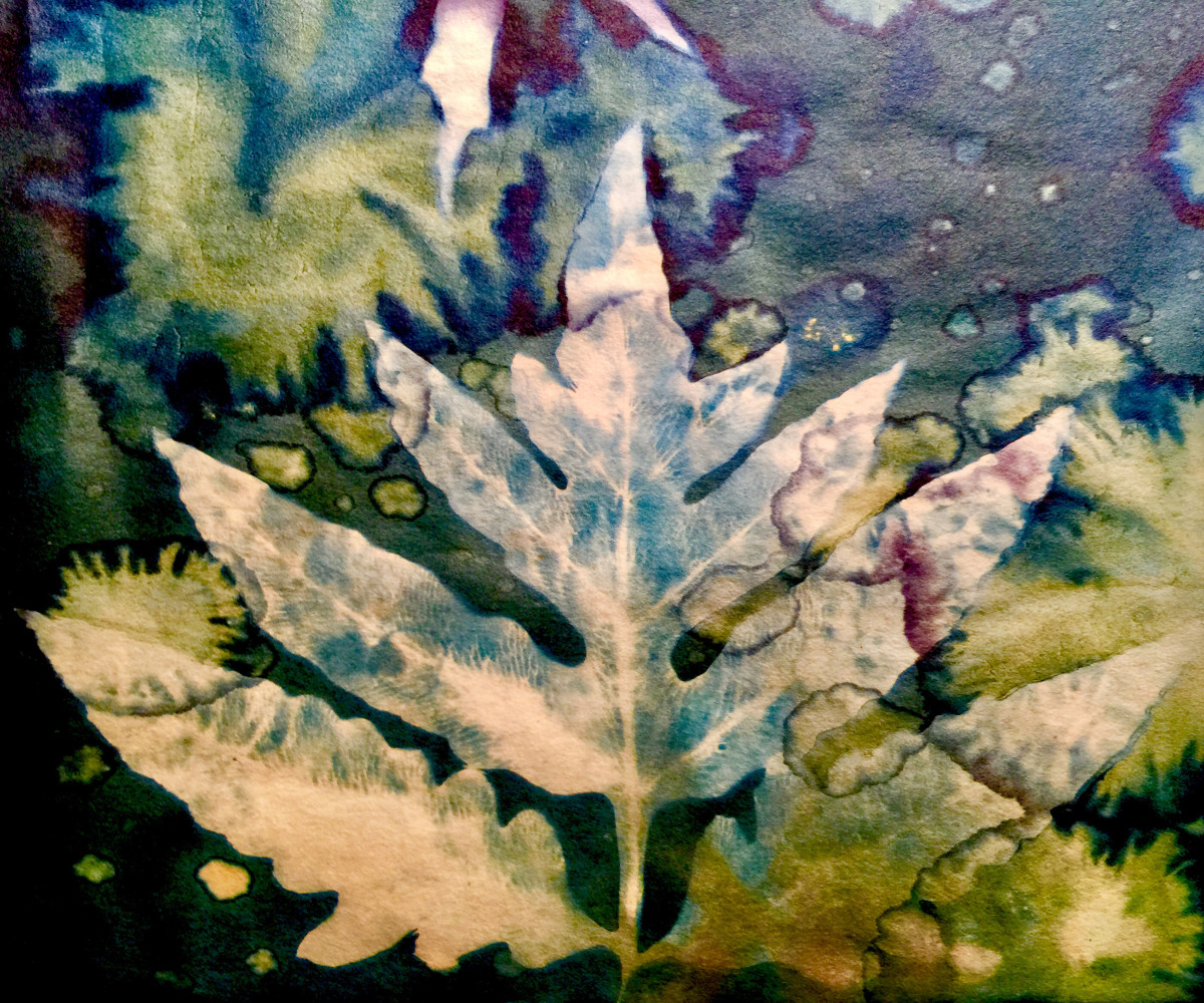 The Sensitive One by Lesley Riley 
