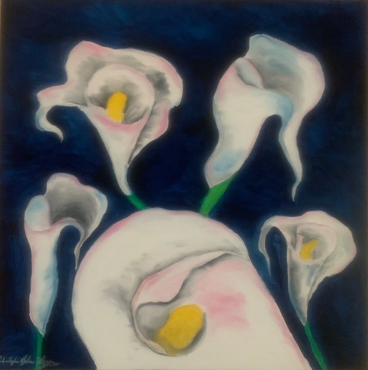 5 Calla Lily’s by Christopher Hoppe 