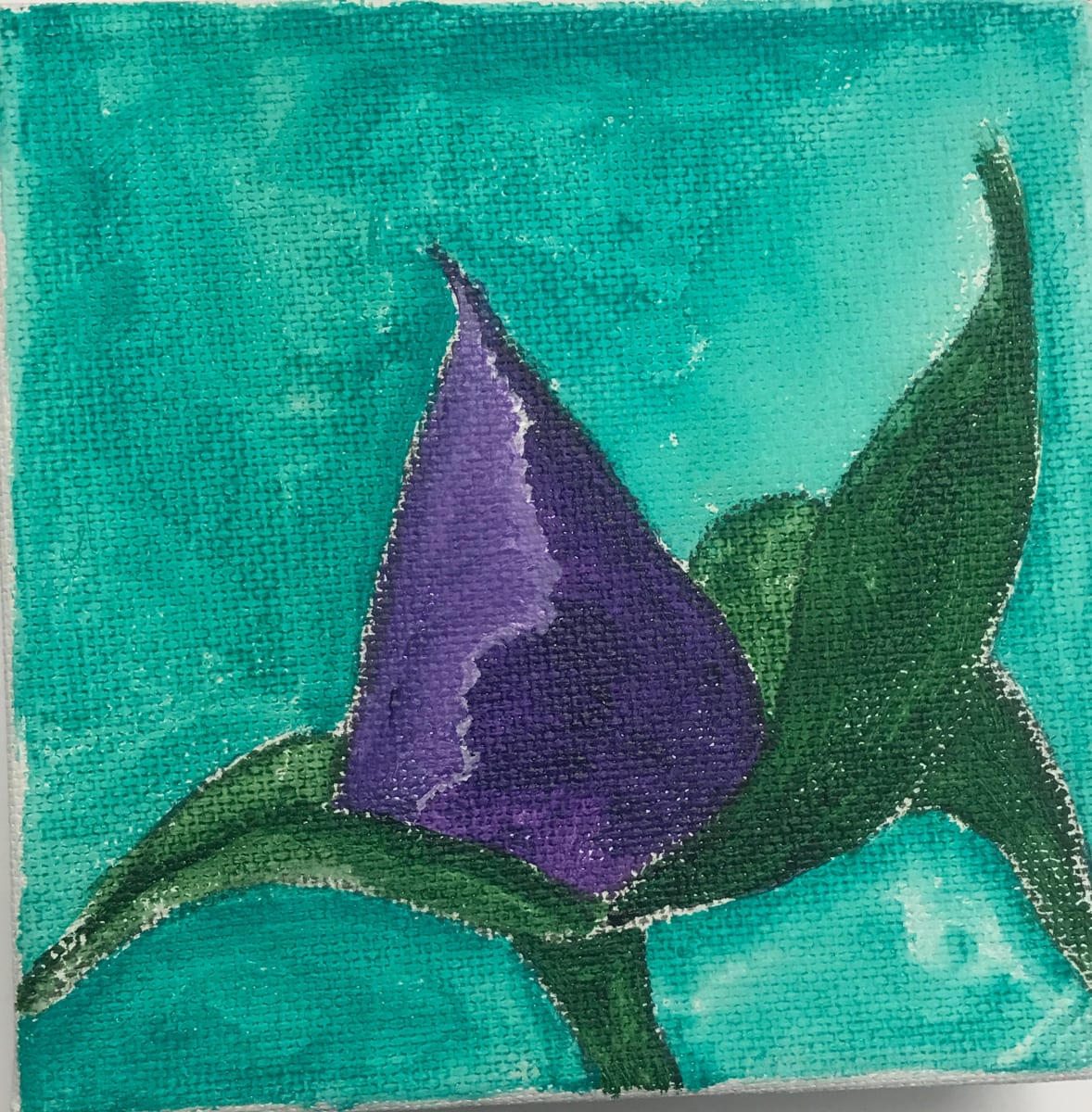 Young Purple Rose by Christopher John Hoppe 