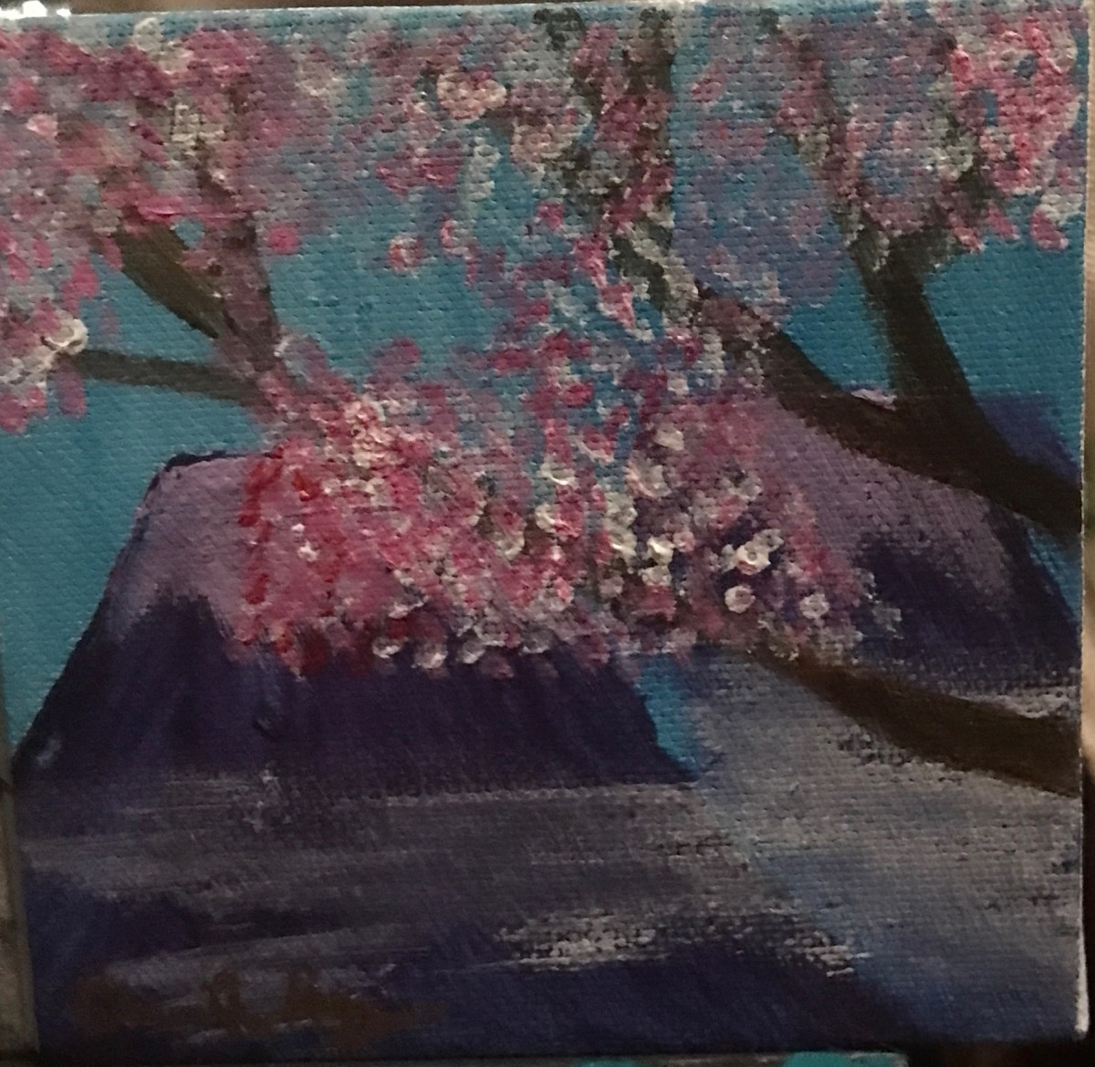 Cherry Blossoms by Christopher Hoppe 