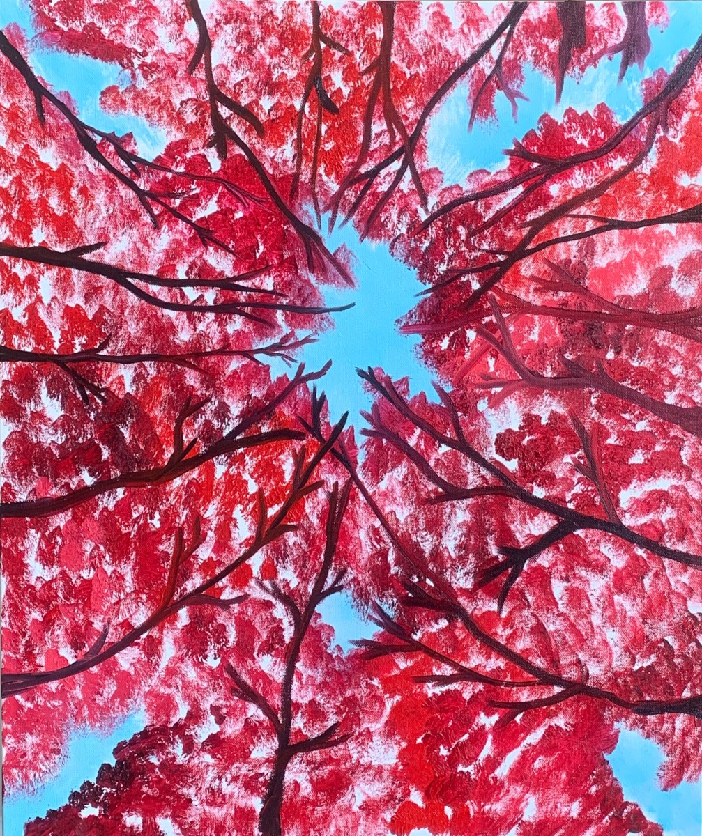 Crimson Heavens by Christopher Hoppe 