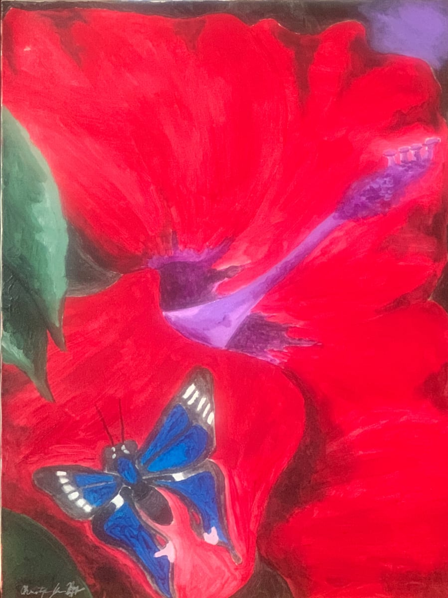 Hibiscus and the Butterfly 
