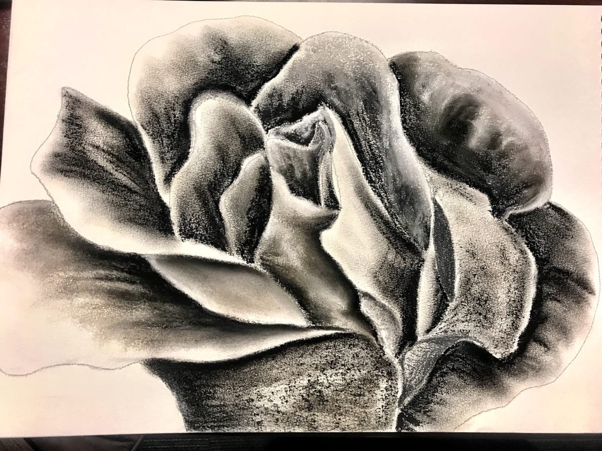 Shades of a Rose by Christopher Hoppe 