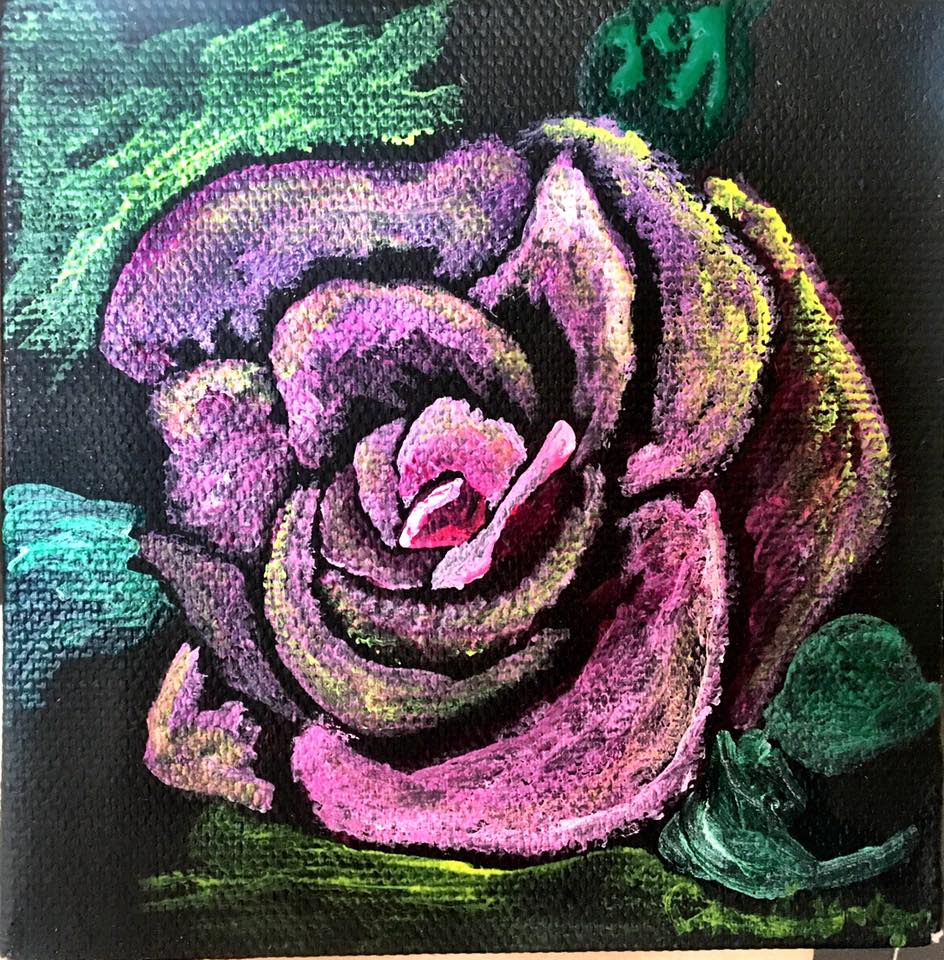 Up close Pink Rose by Christopher John Hoppe 
