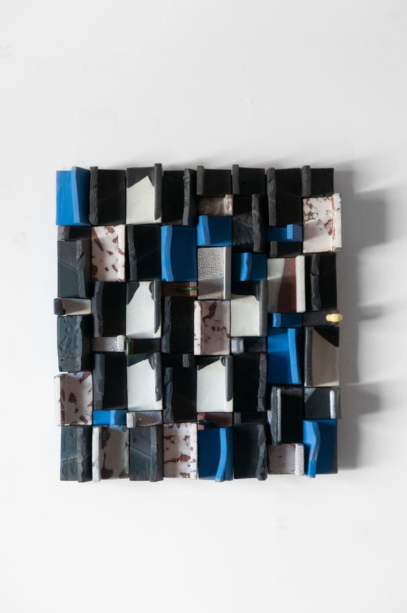 Fin Collage I by BEN MEDANSKY 