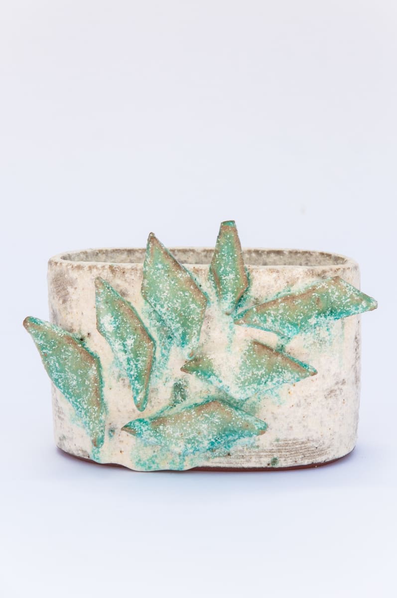 Fern Vessel VIII by BEN MEDANSKY 