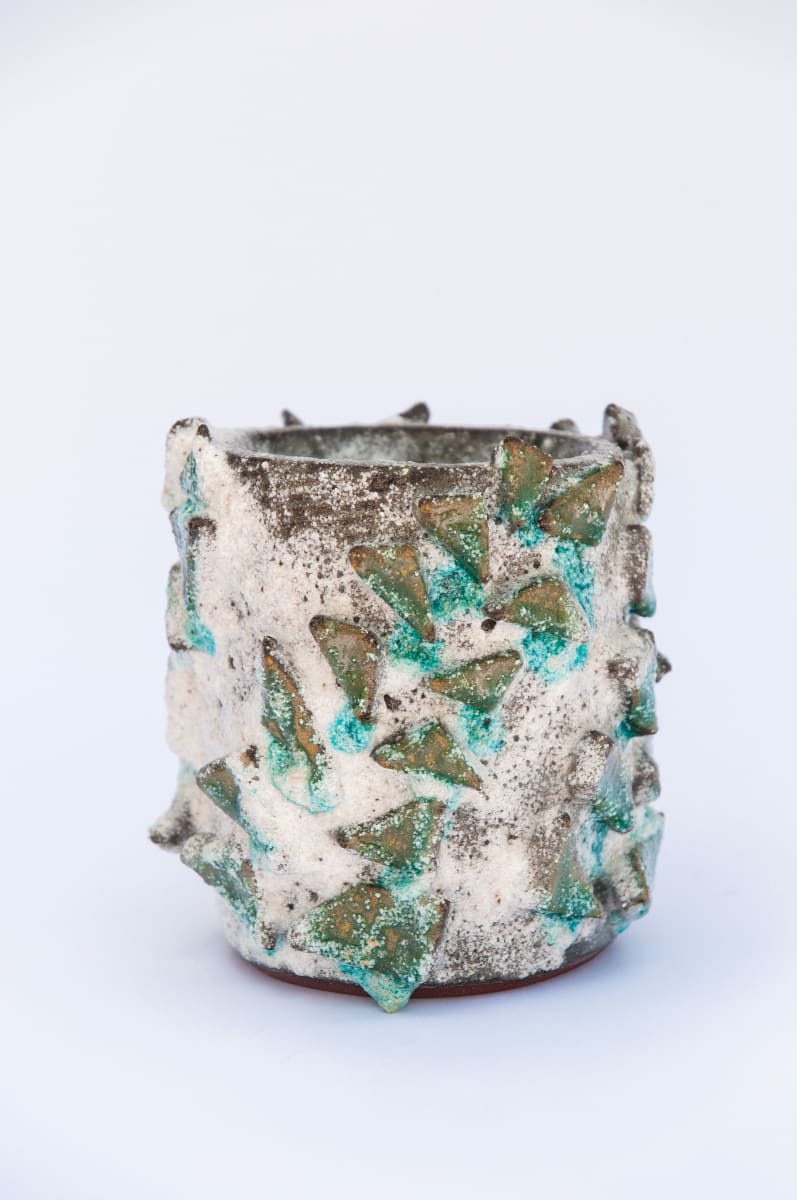 Fern Vessel IV by BEN MEDANSKY 