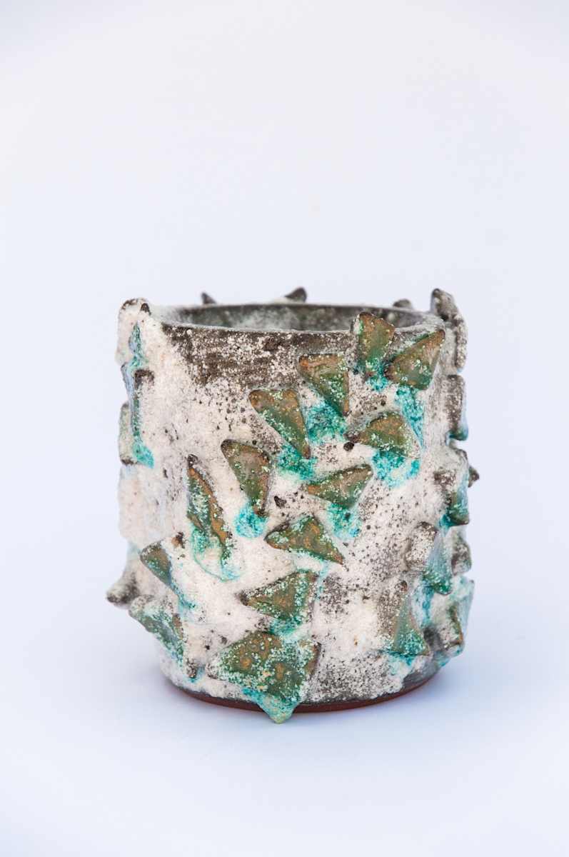 Fern Vessel IV by BEN MEDANSKY, Image 1.