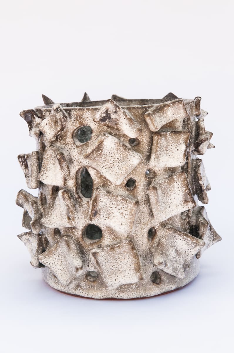 Fern Vessel VII by BEN MEDANSKY 