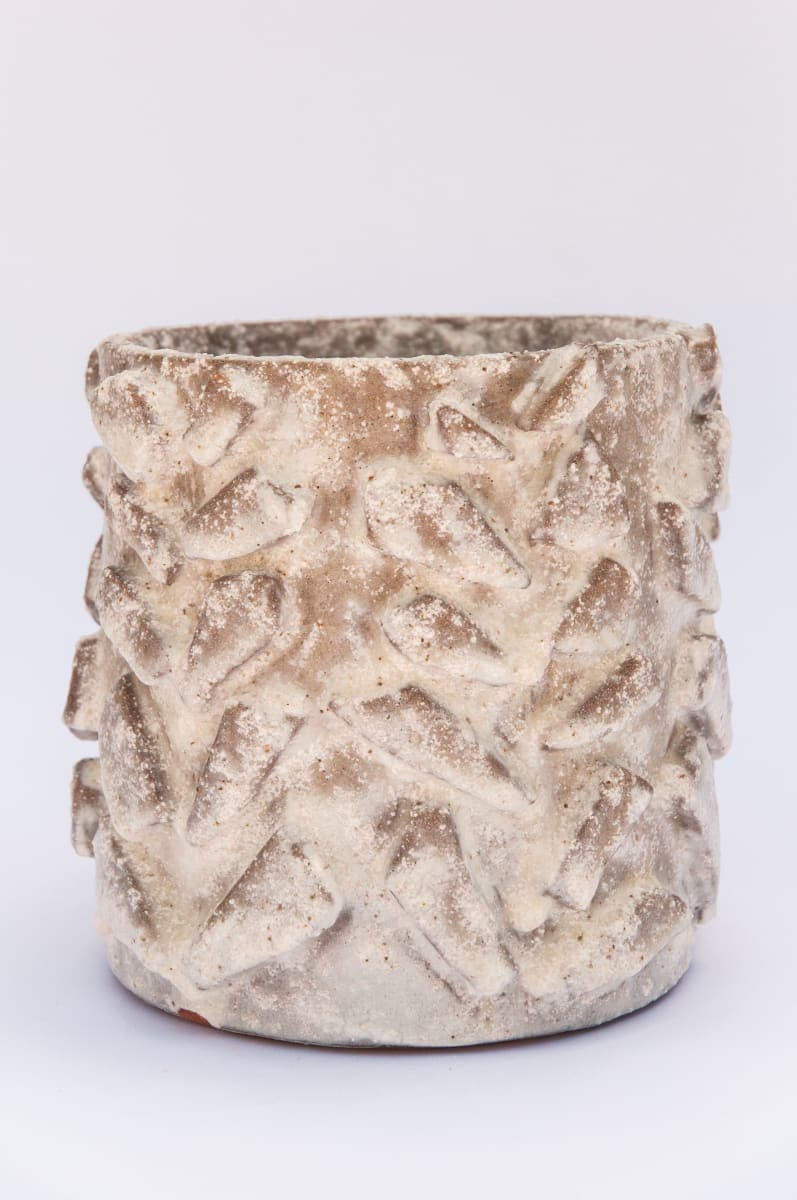 Fern Vessel I by BEN MEDANSKY 